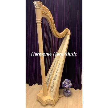 Harp Rental - Salvi Ana 40 strings